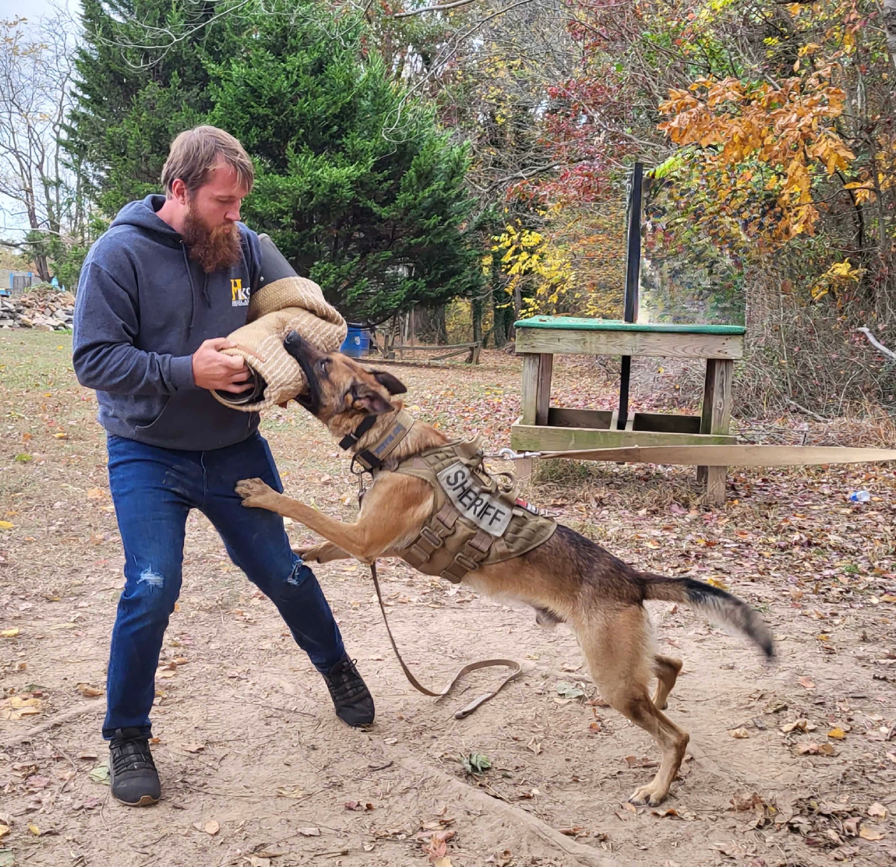 Justin Runco, founder of Reinforcement & Reward Canine Training